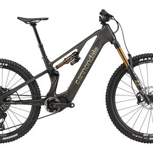 2024 Cannondale Moterra SL 1